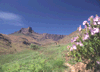 Op weg naar Tugela falls