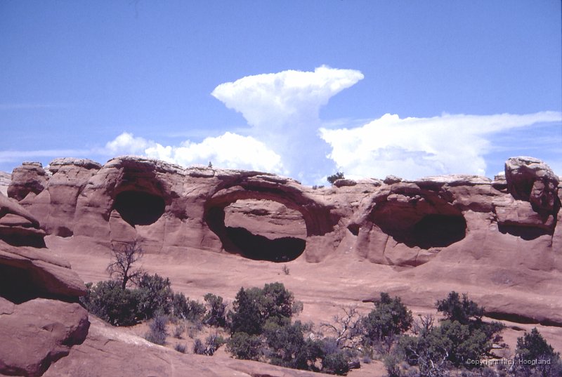 Arches11.jpg
