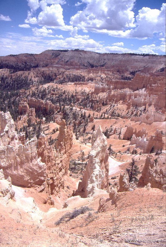 Bryce1.jpg