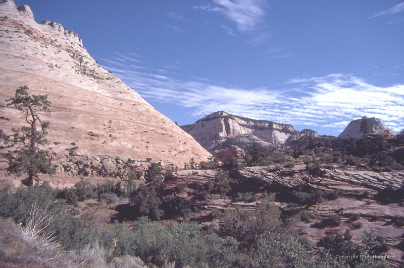 Zion1.jpg