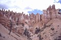Bryce6