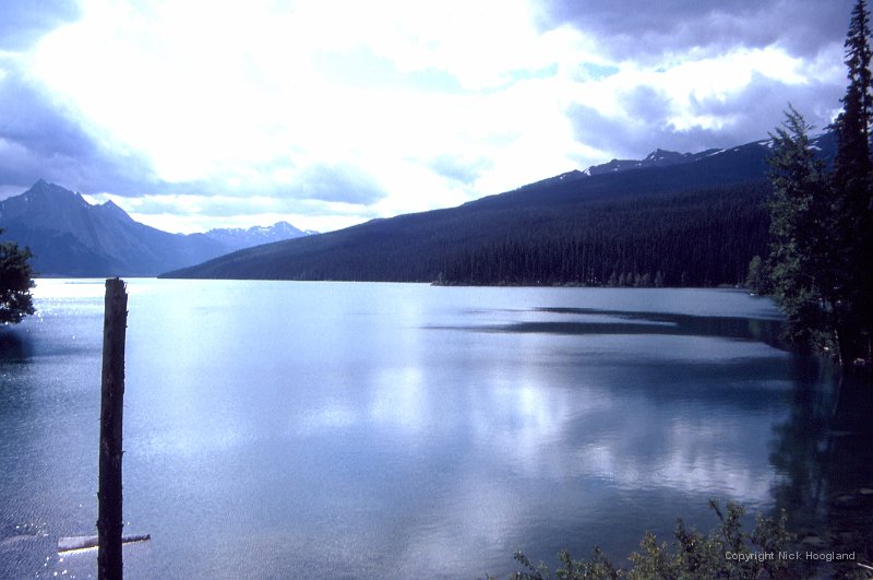 Water1.jpg