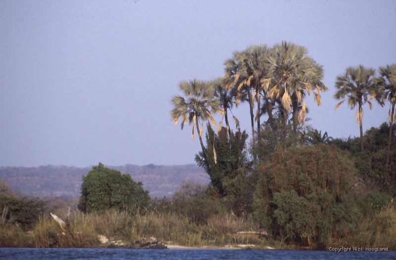 Water2.jpg