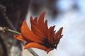 Bloem5