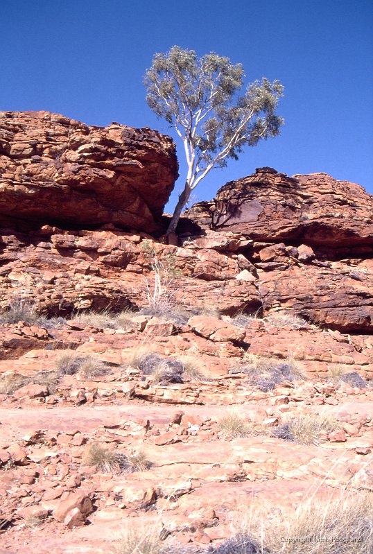KingsCanyon3.jpg