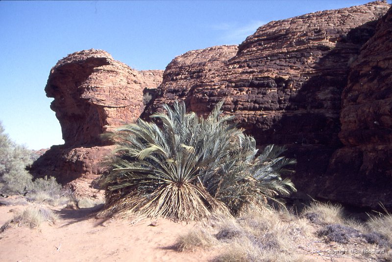 KingsCanyon4.jpg