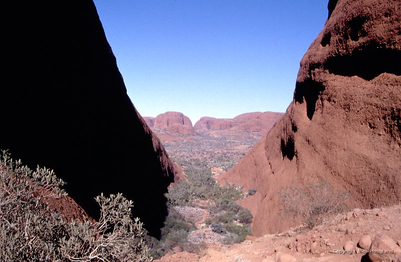 Olgas3.jpg