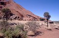 AyersRock1