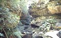 Water4