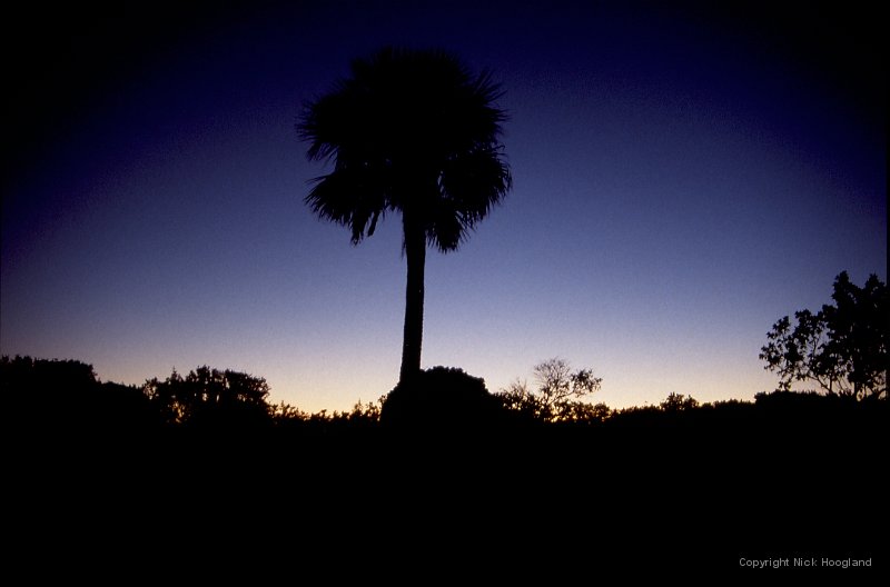 Zonsondergang1.jpg