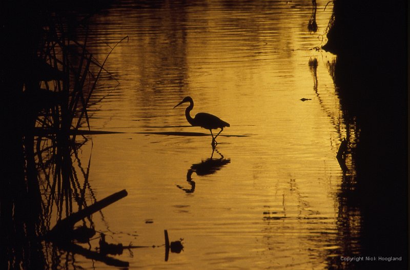 Zonsondergang10.jpg