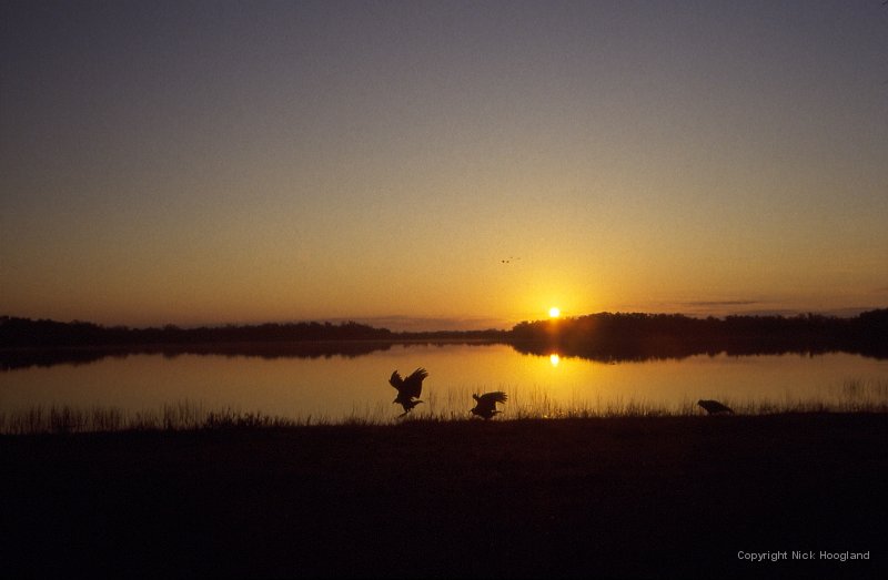 Zonsondergang7.jpg