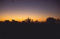 Zonsondergang3