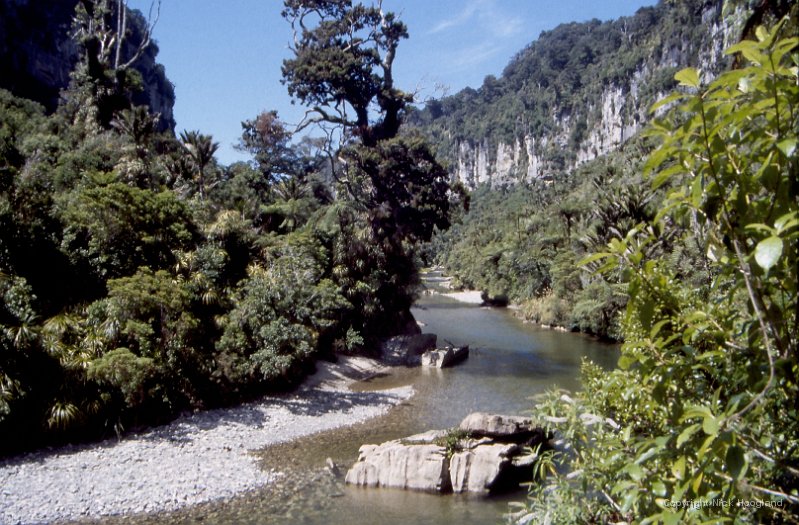 Water10.jpg