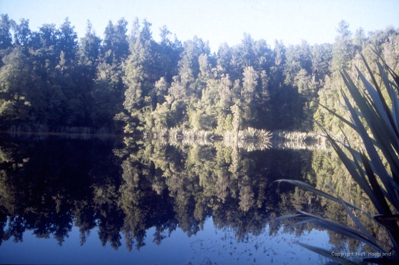 Water7.jpg