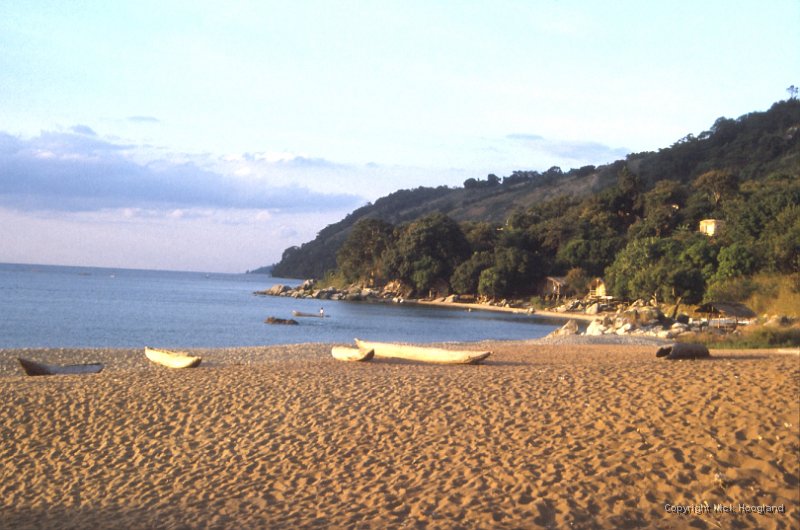Water2.jpg