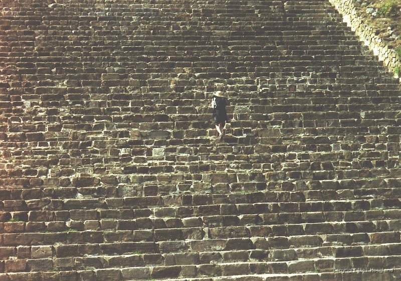 Trappen1.jpg