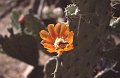 Bloem2