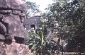 Palengue5