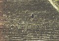 Trappen1