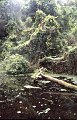 Waterplas1
