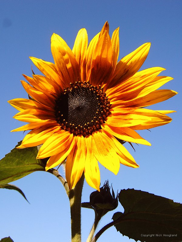 IMG00020.jpg