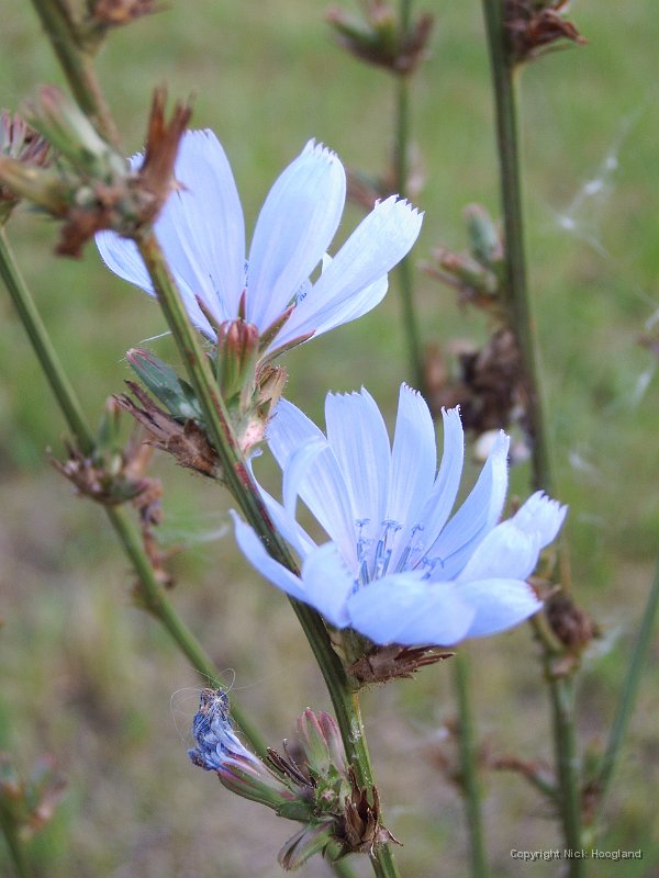 IMG00046.jpg