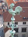 IMG31-9-00011