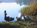 IMG5-9-00014