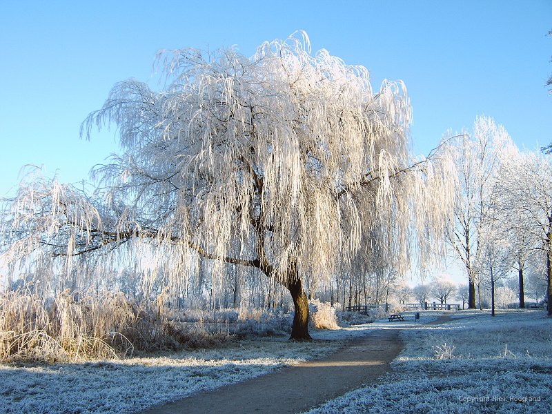 Winter2.jpg