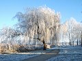 Winter2