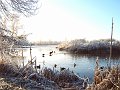 Winter3