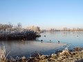 Winter4