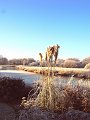 Winter6