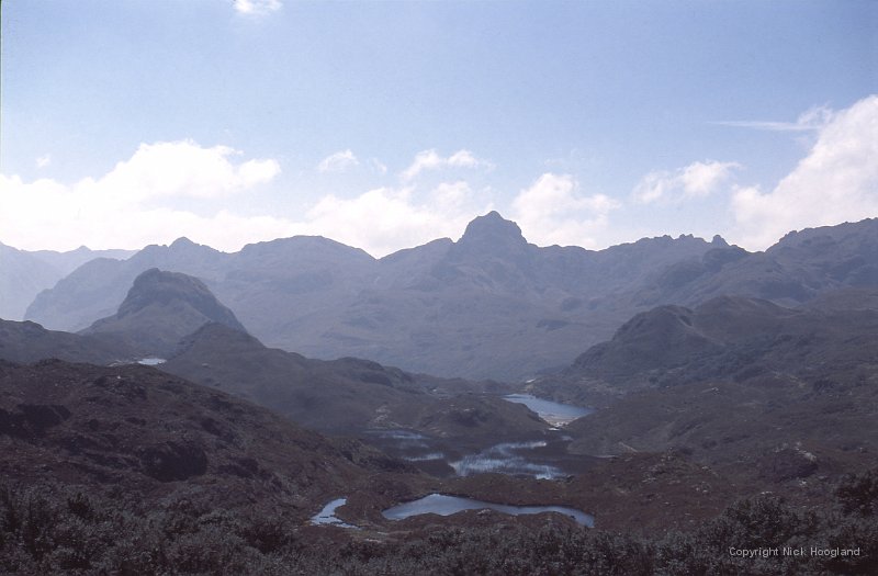 Cajas1.jpg