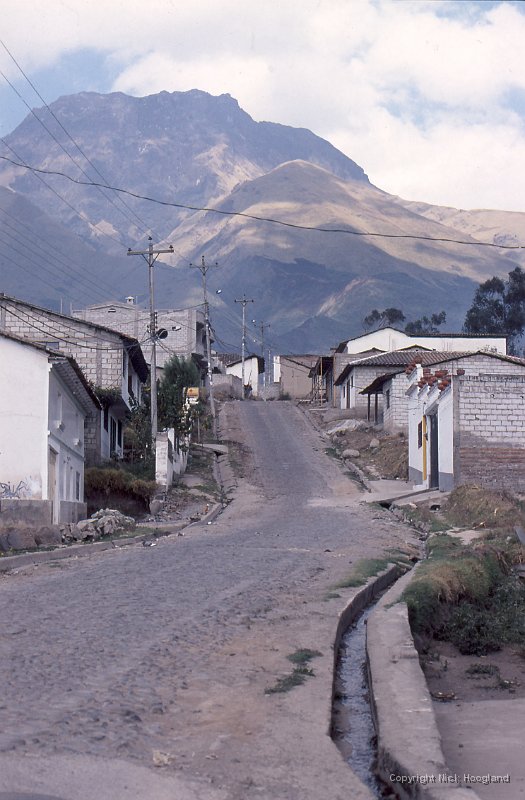 Perguche1.jpg