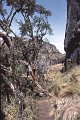 Cajas5