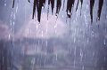 Regen1