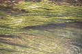 Water1