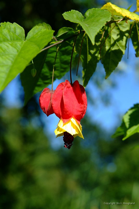 DSCF0112.jpg