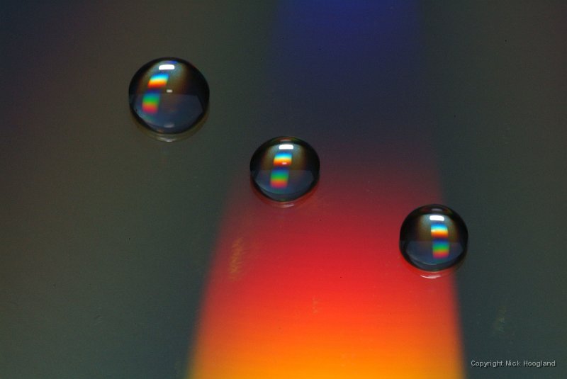 DSCF1098.jpg