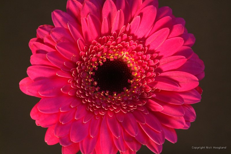 DSCF3754.JPG