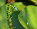 DSCF0185