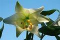 DSCF0206