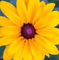 DSCF0265