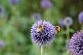 DSCF0289