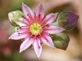 DSCF0452