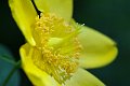 DSCF0567