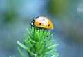 DSCF0884