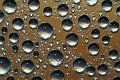 DSCF1031